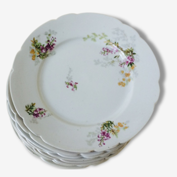 Series of eight porcelain dessert plates