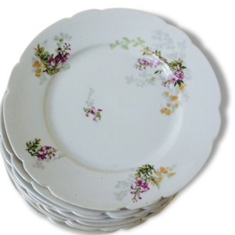 Series of eight porcelain dessert plates