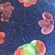 Large Sarreguemines blue slipware fruit bowl