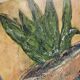 Tableau signé huile sur toile nature morte