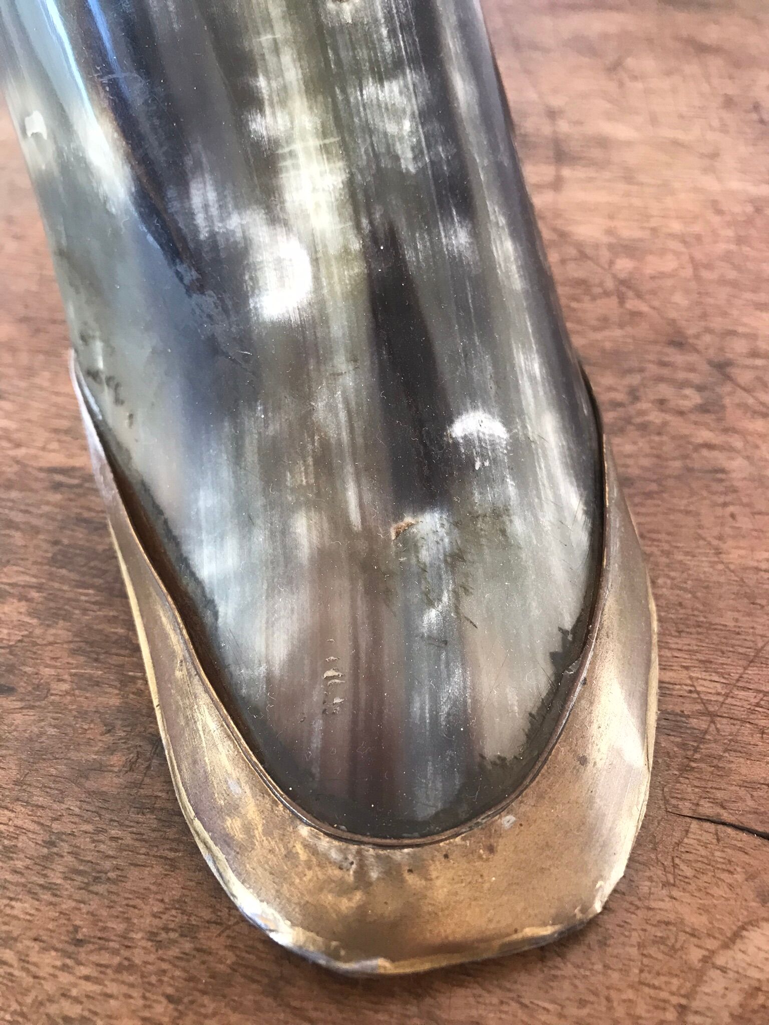 Polished beef horn on brass base