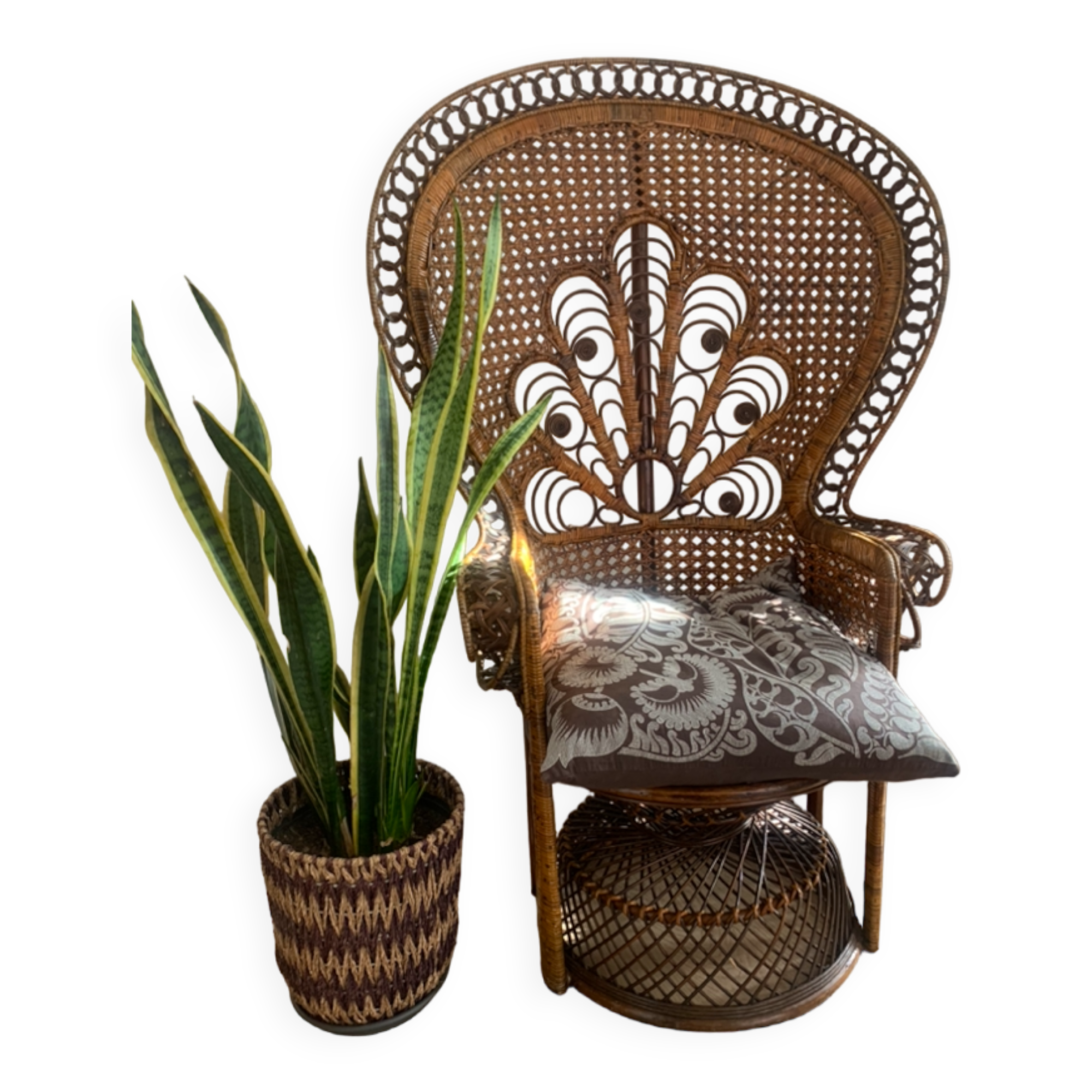 Fauteuil Emmanuelle Peacock