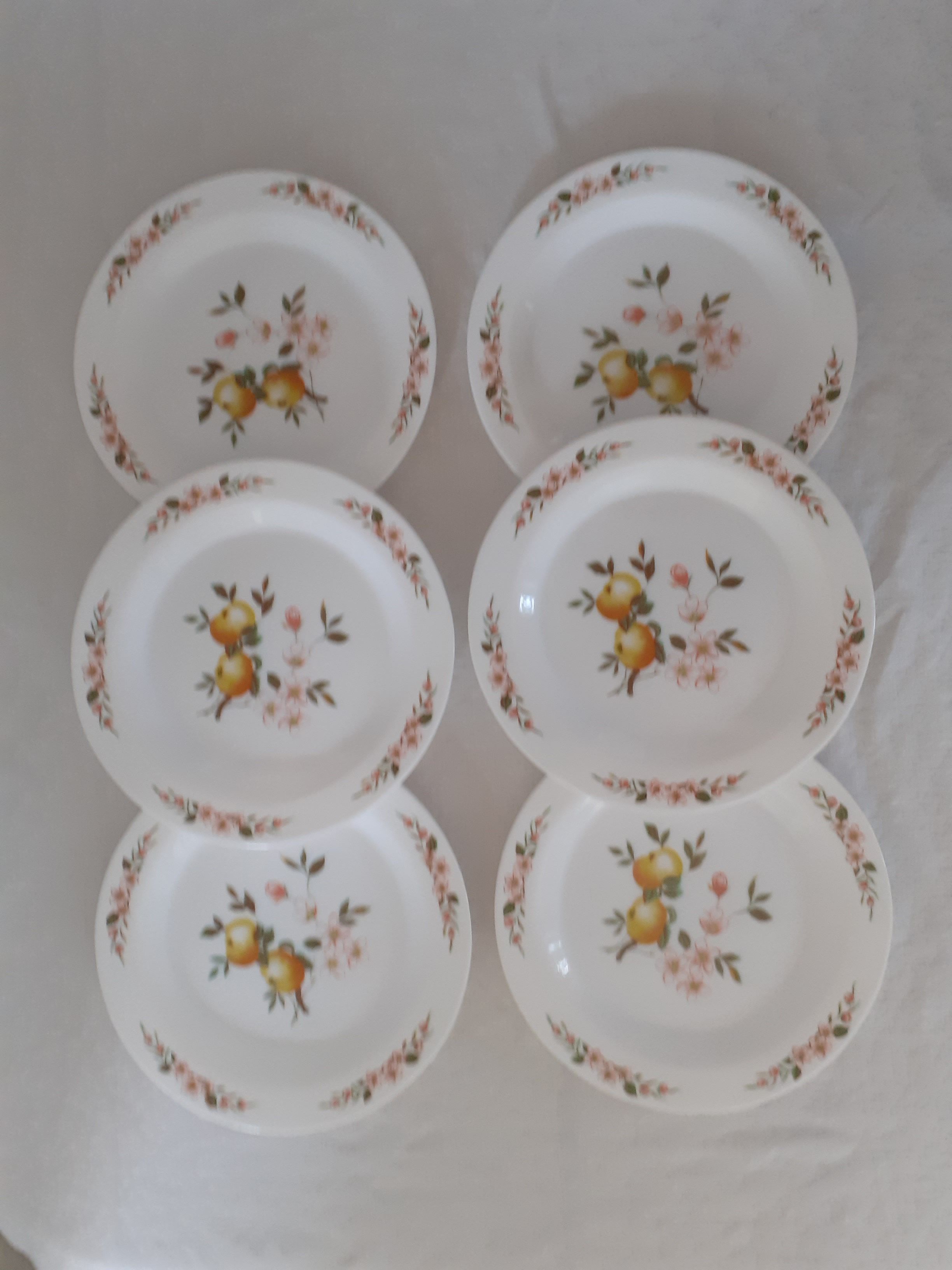 6 Flat plates Normandy apple decoration Arcopal france