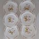 6 Flat plates Normandy apple decoration Arcopal france