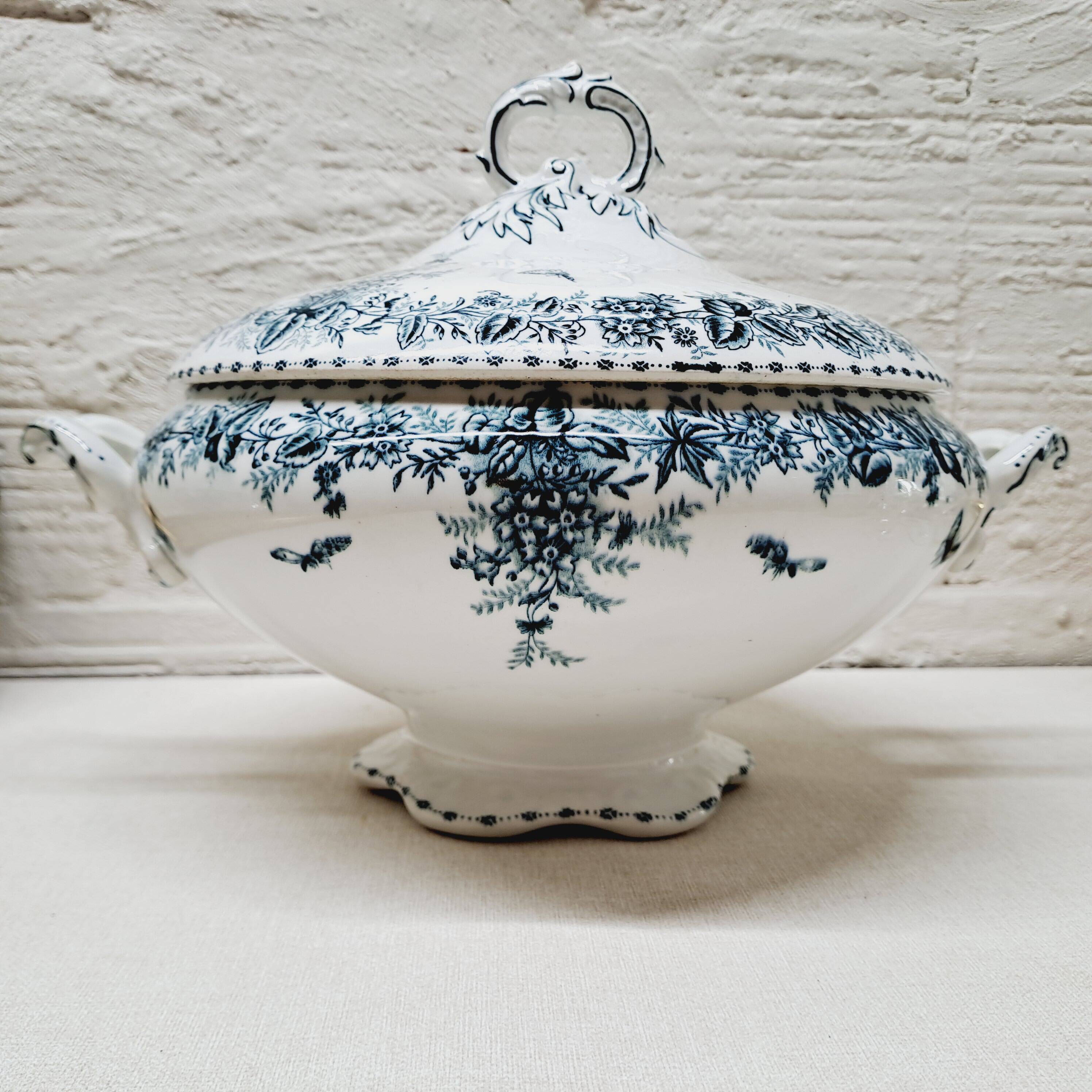 Vegetable Terre de Fer Onaing