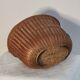 Rattan plant pot