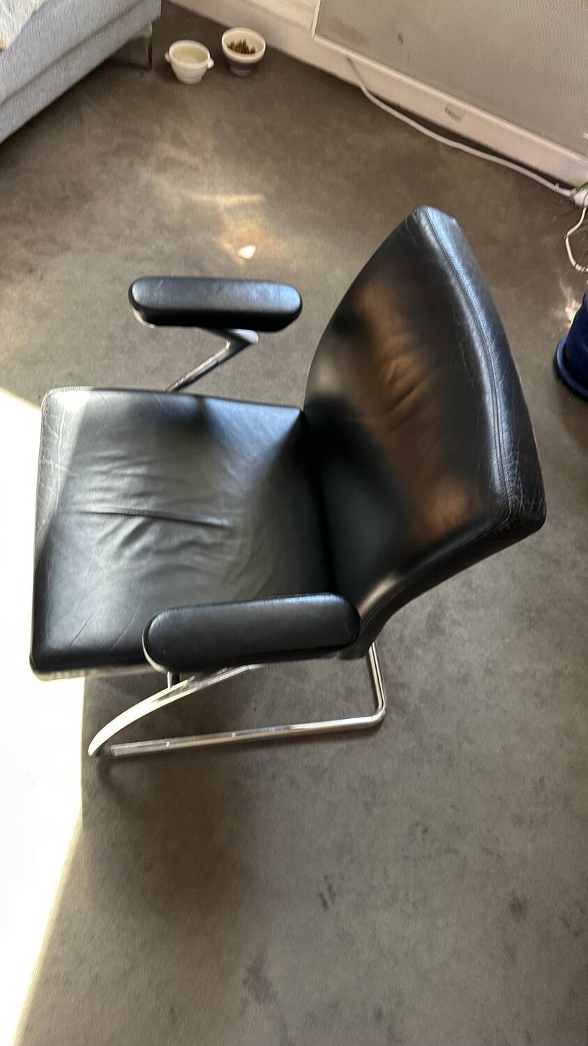 Walter Knoll Dining Chair - armchair / Leather and chrome chair
