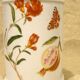 Porcelain medicine jar creations Deshoulieres Passiflora Punica granatum