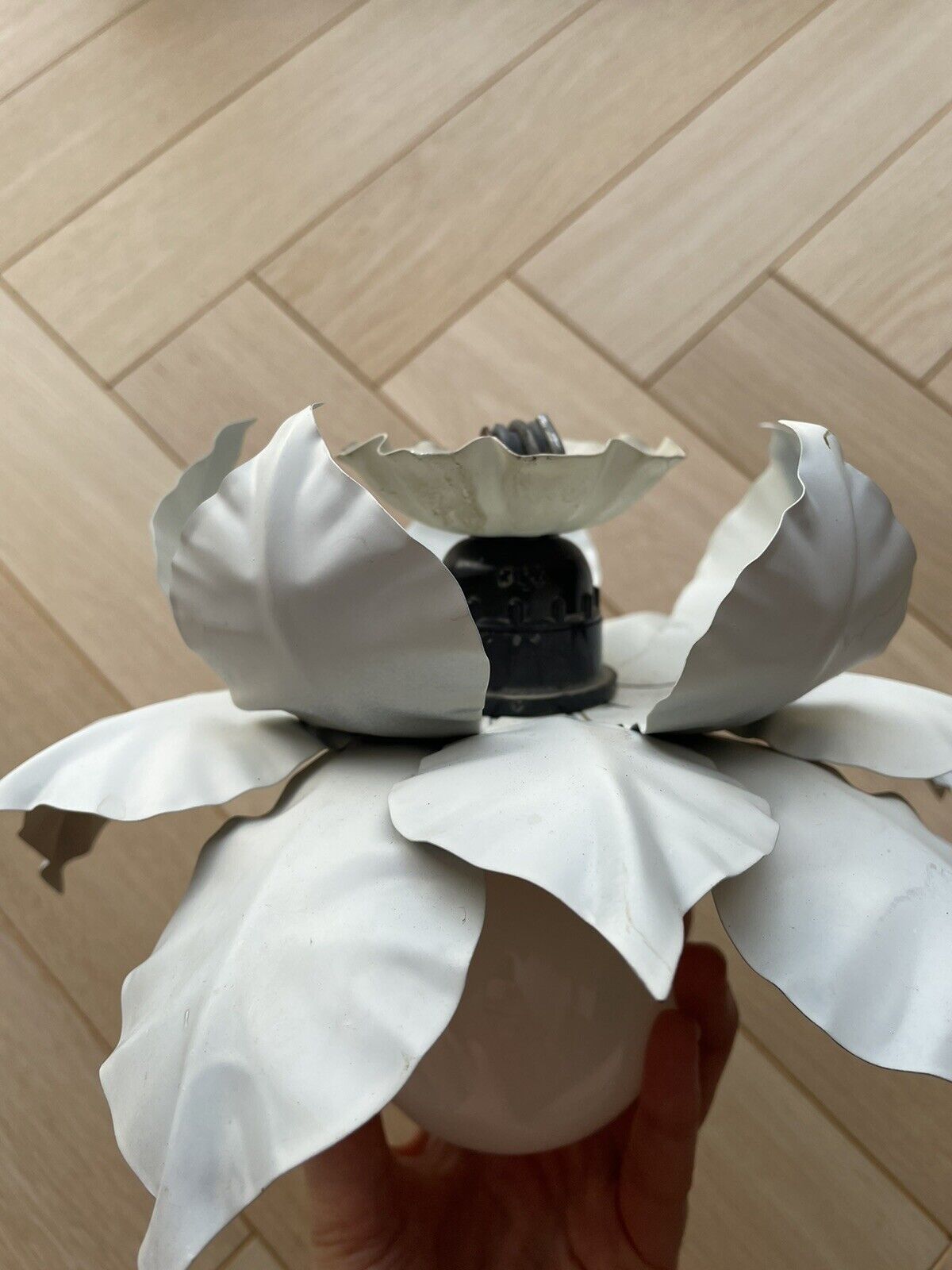 Wall lamp shape flowers