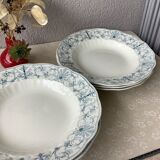 Assiettes terre de fer anglaises Ridgways XIX ème