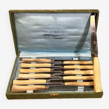 old box 12 knives, dessert, cheese, horn handle, nineteenth, tableware