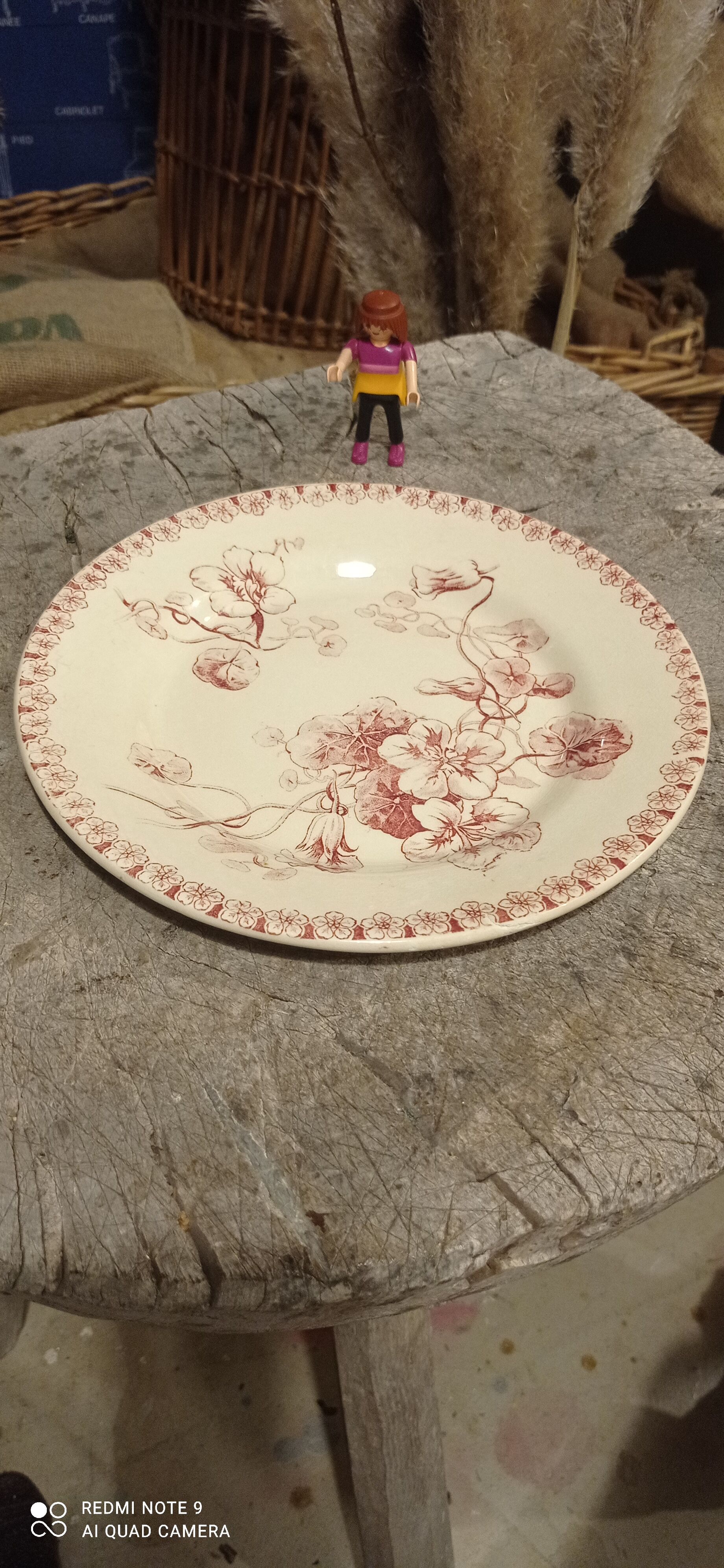 Lot plates iron earth