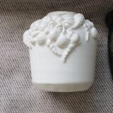 Small white shell vase