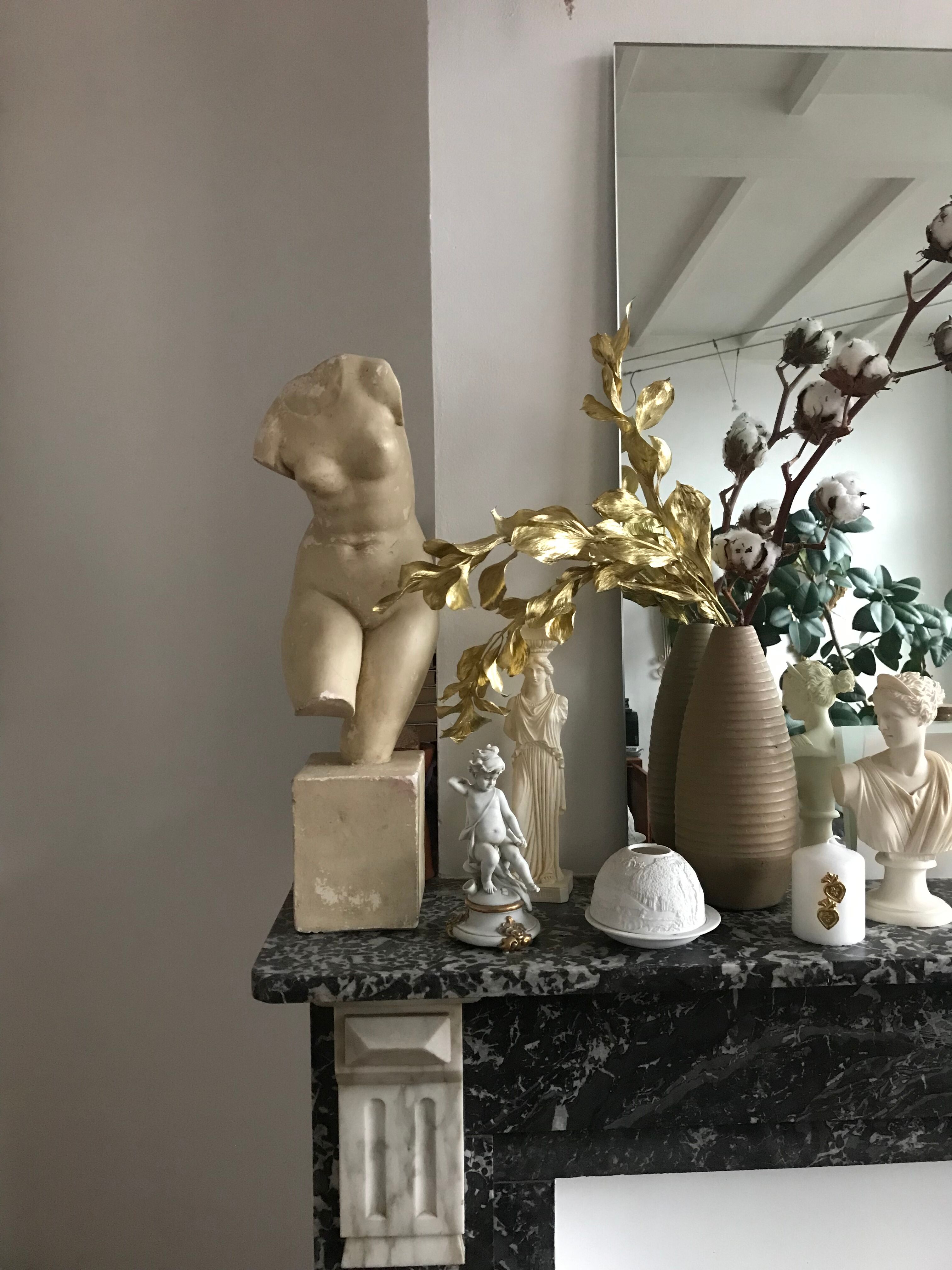 Bust of Aphrodite in plaster