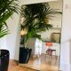 Bevelled mirror 85x130cm