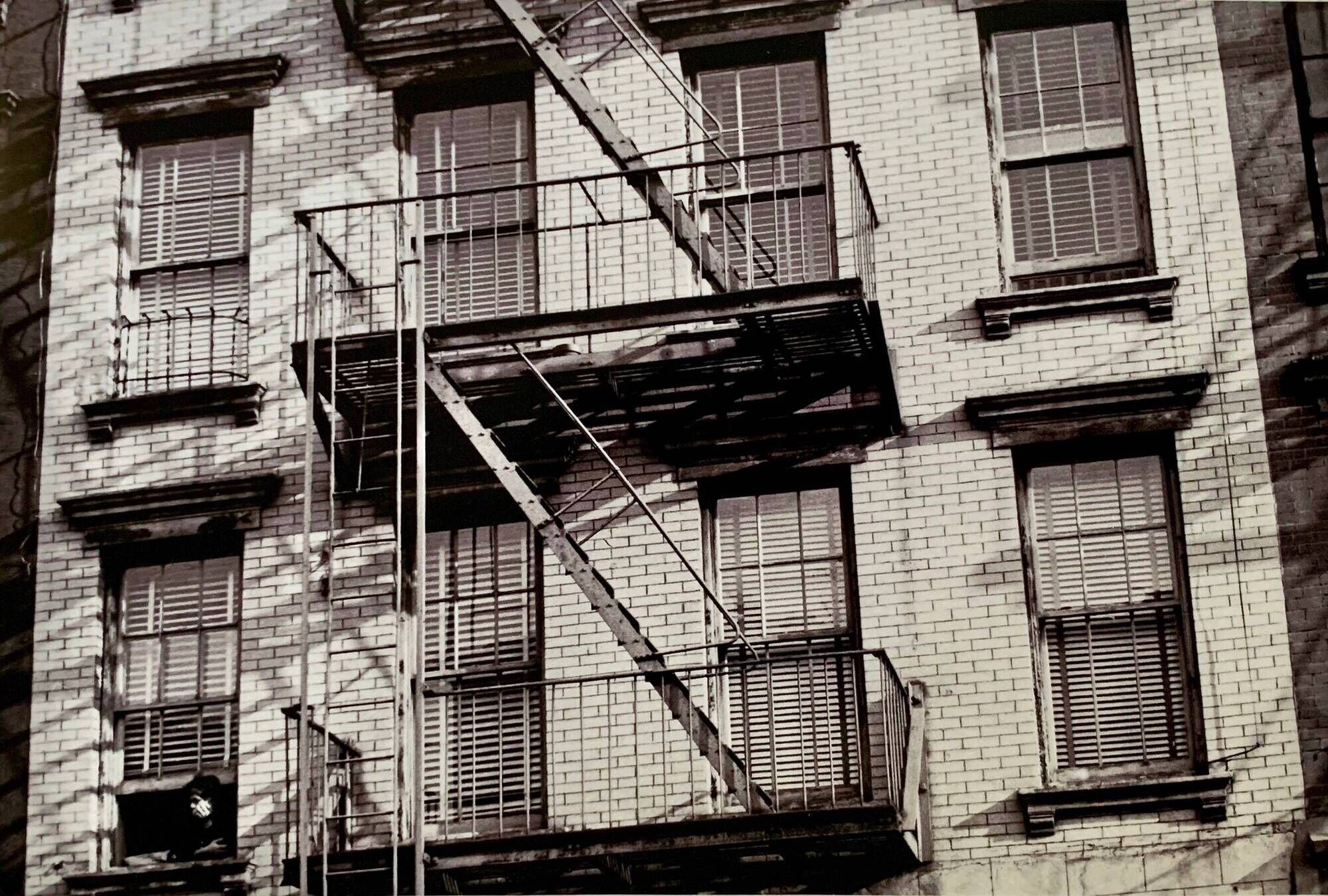 Photo New York 1953 – Fire escape & woman at the window
