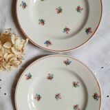 Old mismatched earthenware dessert plates
