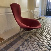 Fauteuil Bertoia Bird édition Knoll 1970