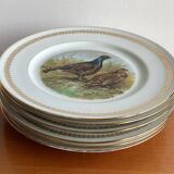 Flat plates PL Emaux Limoges Fafrique Mehun