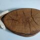 Cutting board