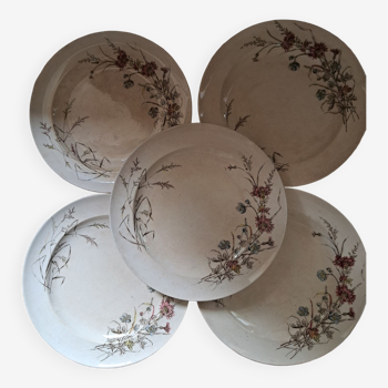 Suite de 5 assiettes plates terre de fer polychrome