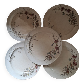 Suite de 5 assiettes plates terre de fer polychrome