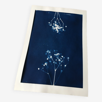 Tirage Cyanotype Original Fleurs A4 sans Cadre