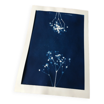 Tirage Cyanotype Original Fleurs A4 sans Cadre