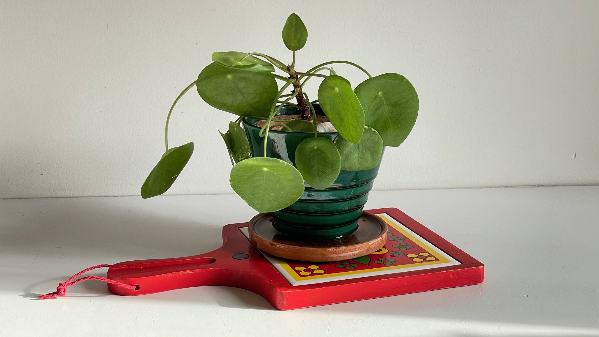 Vintage Red Plate Mat