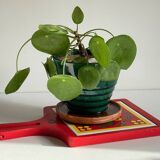 Vintage Red Plate Mat