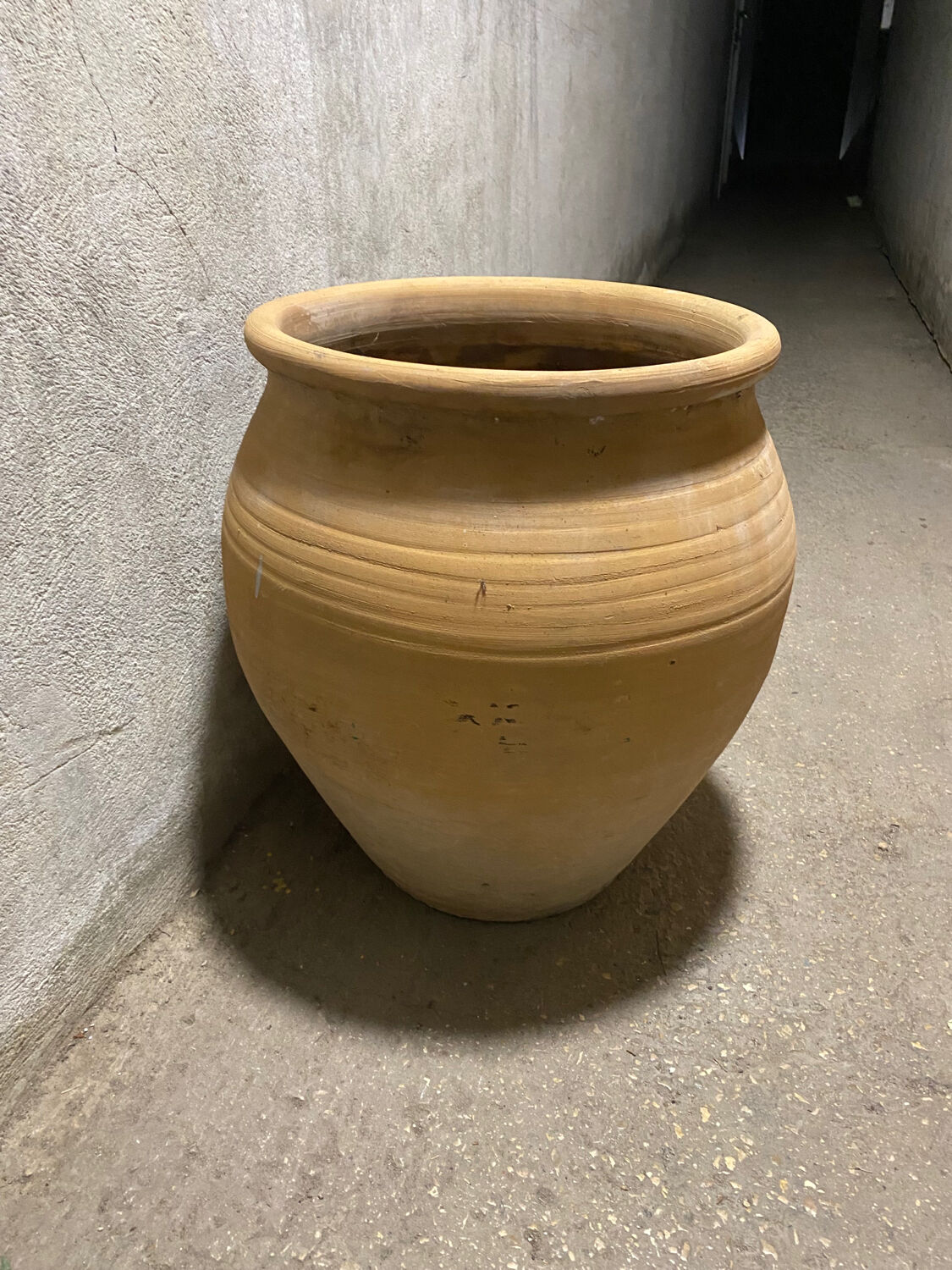 Large terracotta pot