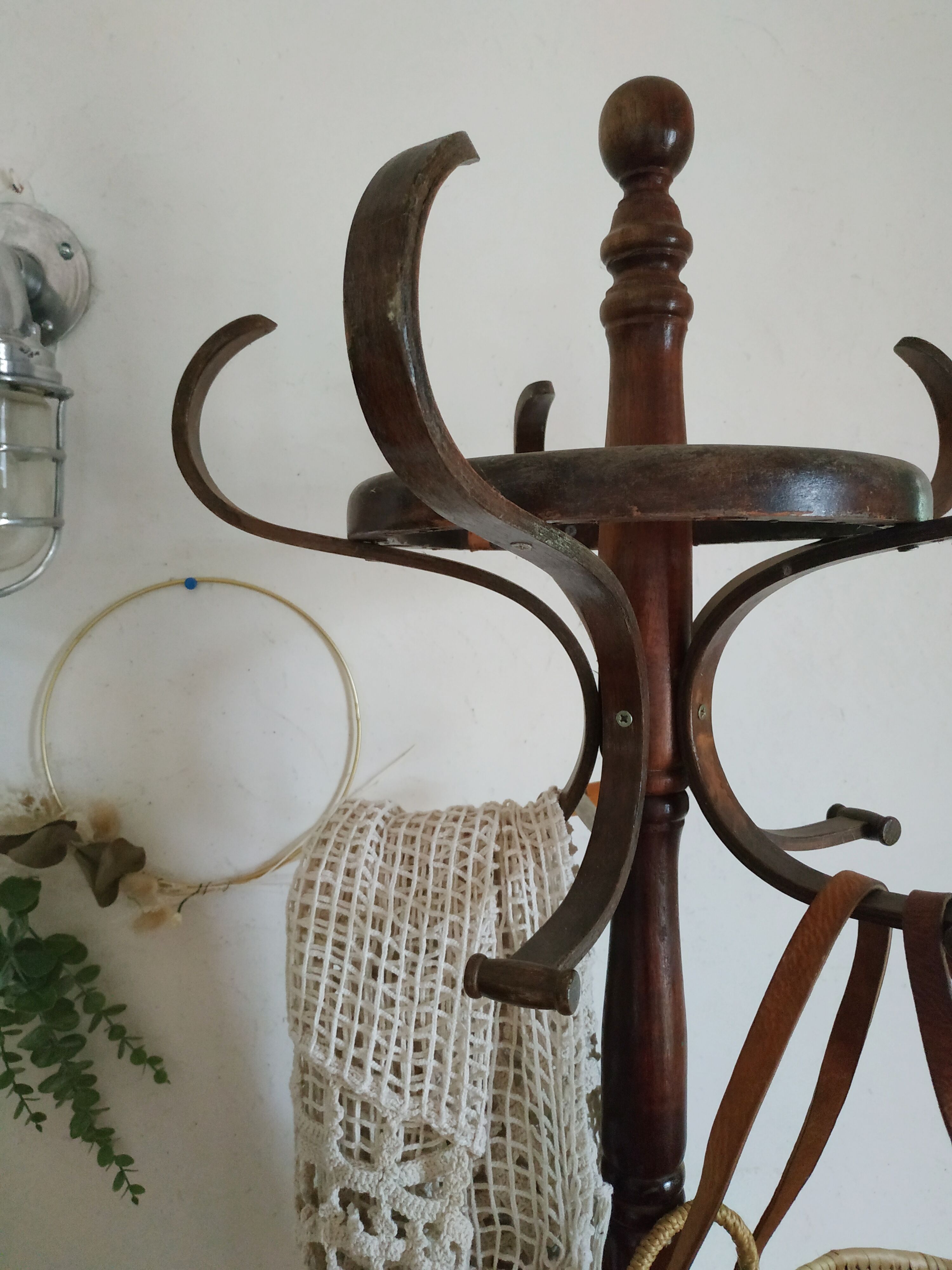 Old wooden parrot coat holder