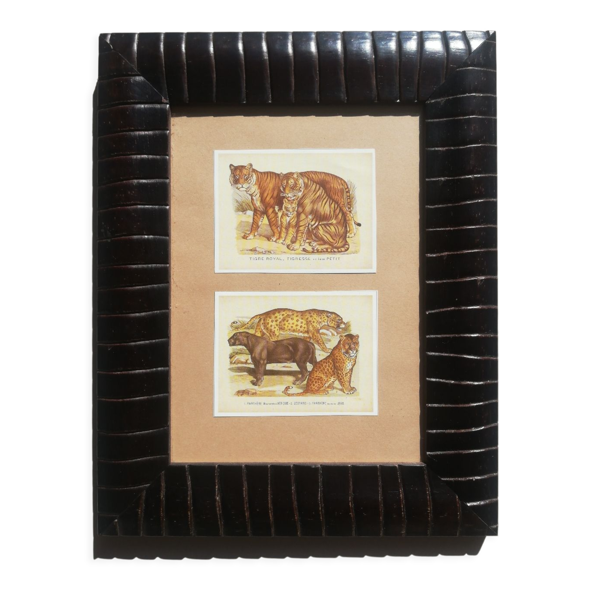 Reproductions vintage images epinal tigers, panthers under frame