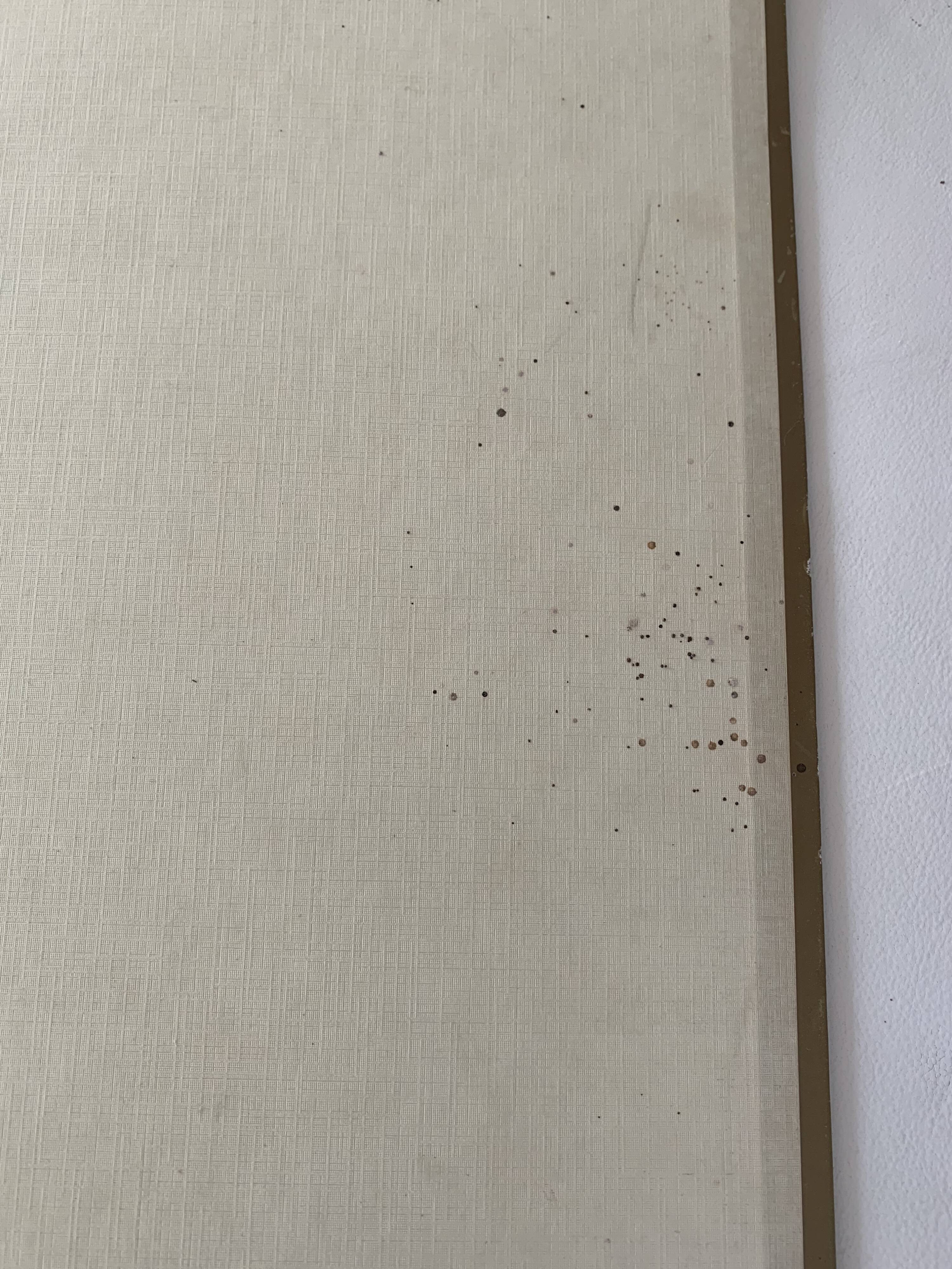 Old cardboard poster