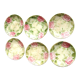 6 plates in slip decoration of roses earthenware of Onnaing