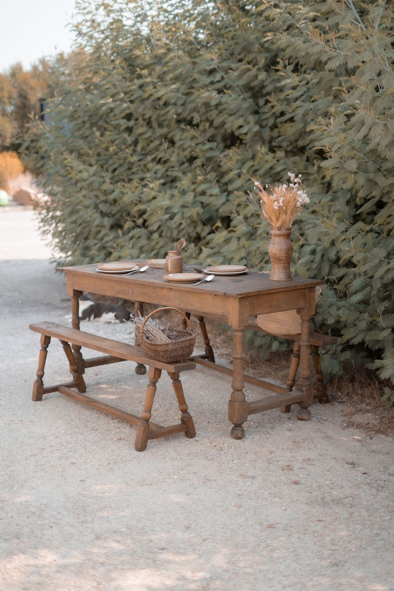 Table and benches set