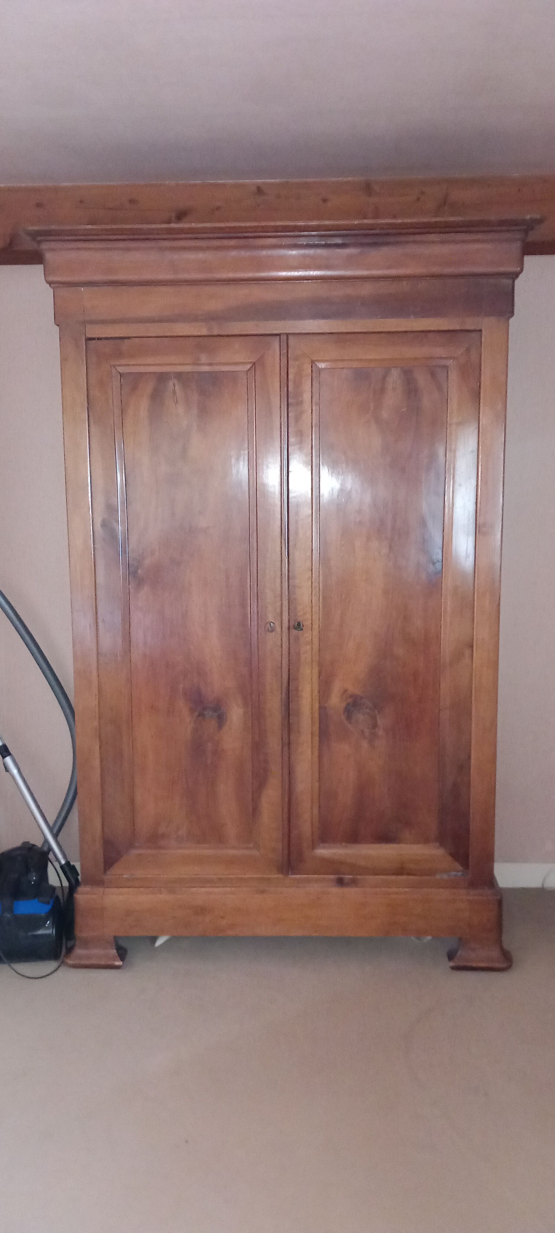 Louis Philippe style wardrobe