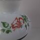 Mid-century Czech cast iron glass lamp vintage floral shade home lighting