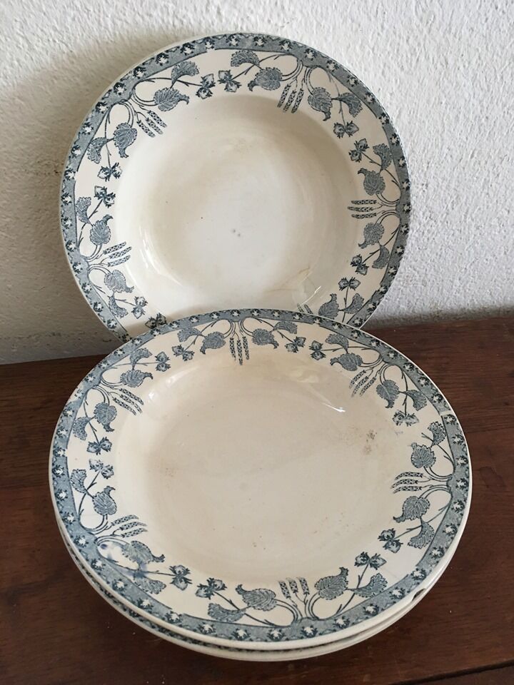 Creuse plates Sarreguemines model "nuts"