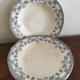 Creuse plates Sarreguemines model "nuts"