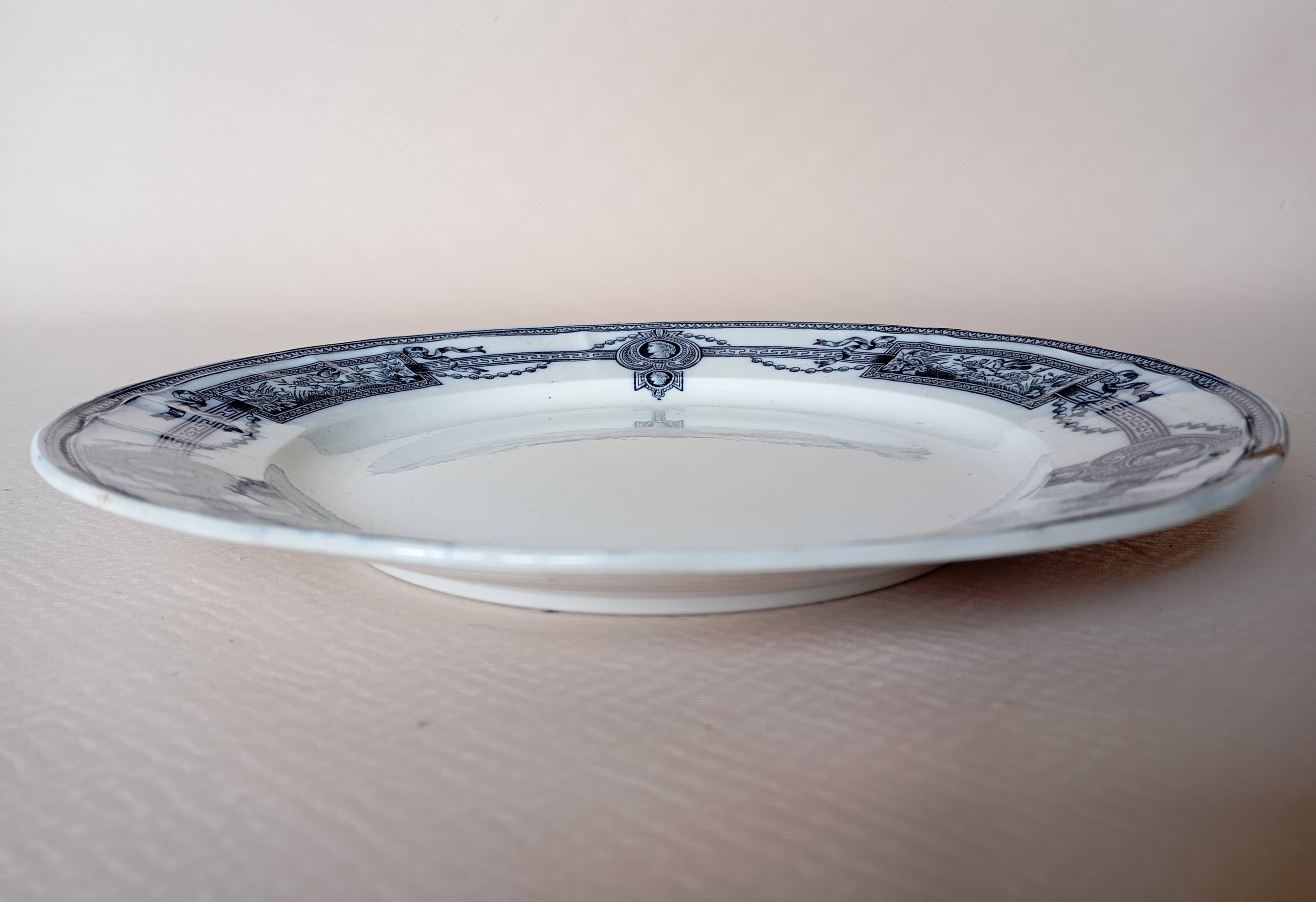 Flat plate in ironstone "Medallion" blue from St Amand and Hamage