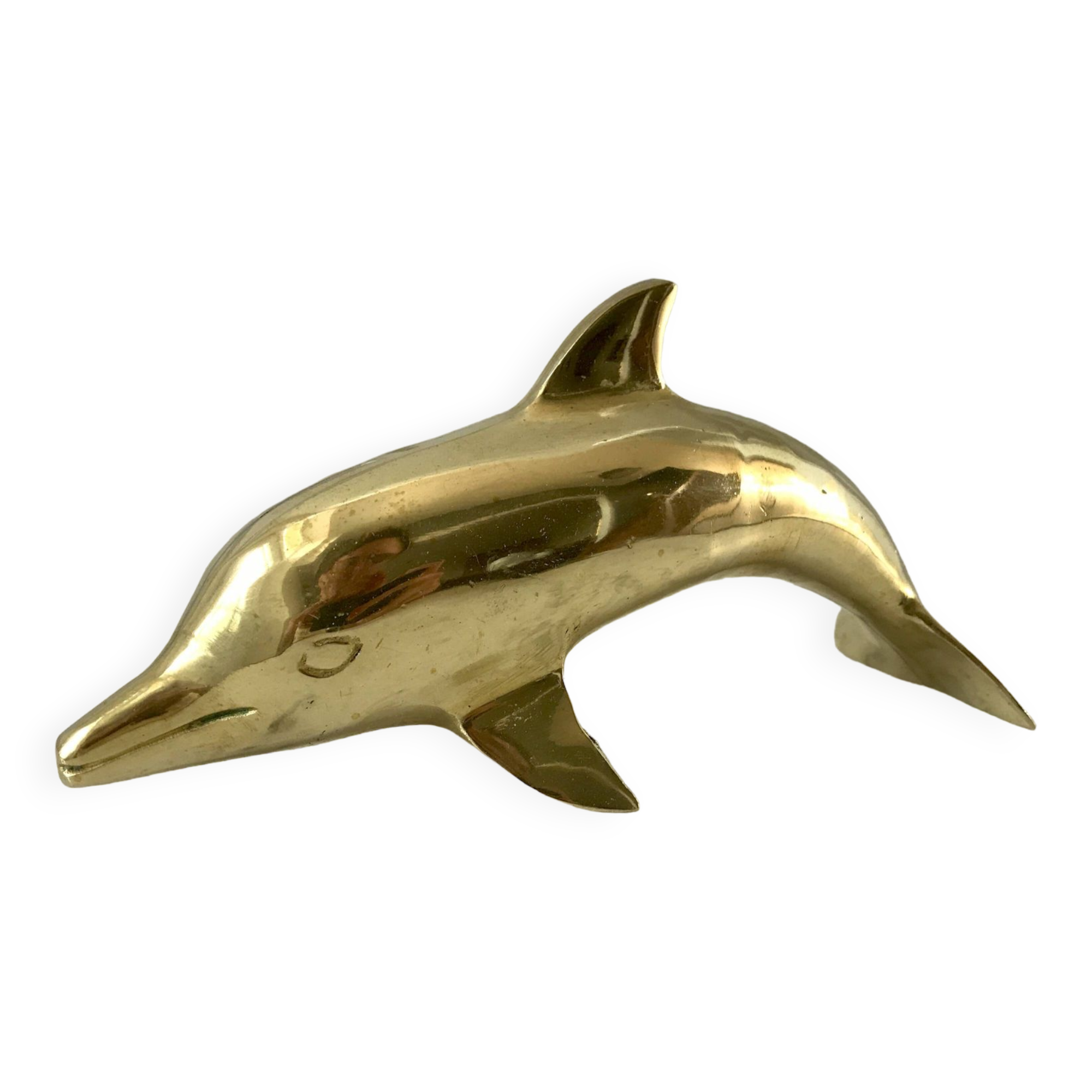 Bottlenose dolphin 1950s