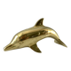 Bottlenose dolphin 1950s