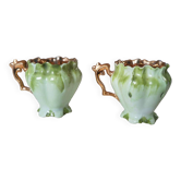 Old water lily cups