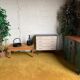 50s chest of drawers