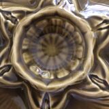 Set of 5 oyster plates