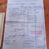 Hand-knotted wool oriental rug