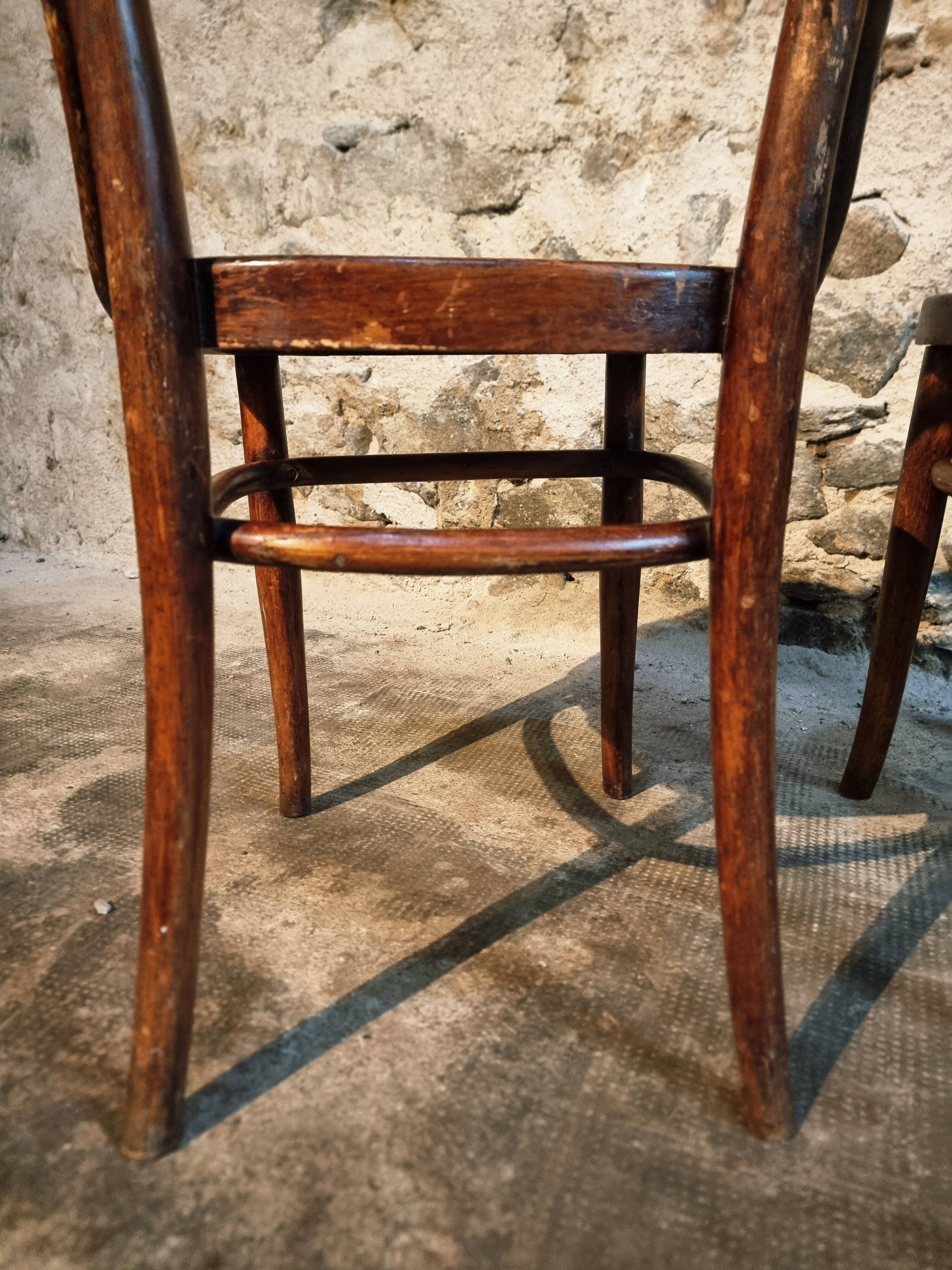 Pair of curved wooden chairs by Jacob & Josef Kohn, Vienna circa 1900