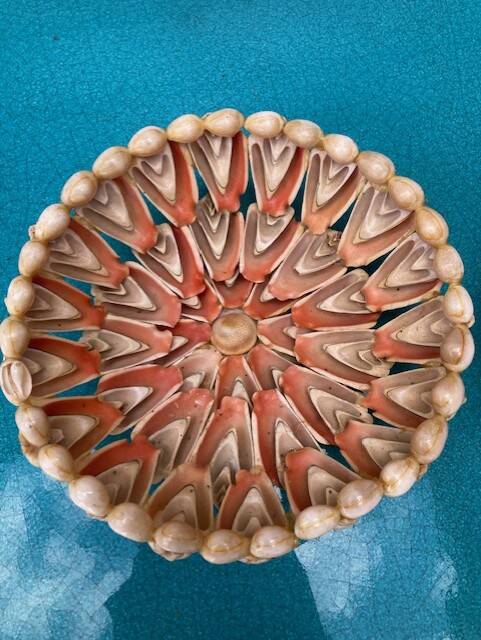 Shell bowl from the 1960s.