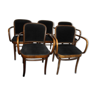 Suite of 5 curved wooden armchairs